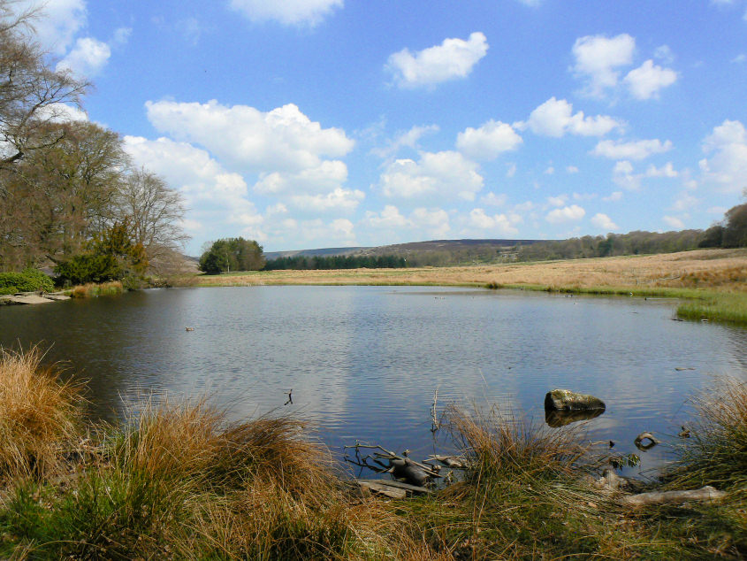 Longshaw Pond Longshaw Pond